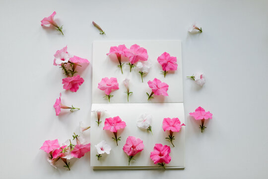 pink flowers on blank pages of the notebook