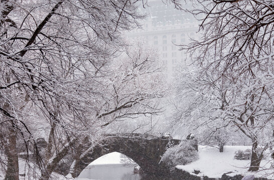 Bridge in the snow