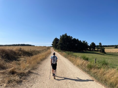 UGC of teen walking on the Chemin the Stevenson in France