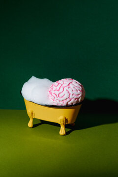 brain in a bathtub full of soap foam