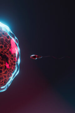 3D Render of Sperm Cell Navigating Towards Egg