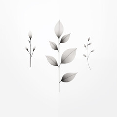 there are three leaves that are on a white background