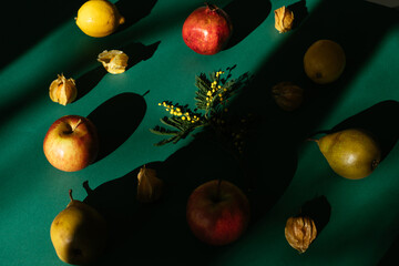 Fruits on a green shadowy background
