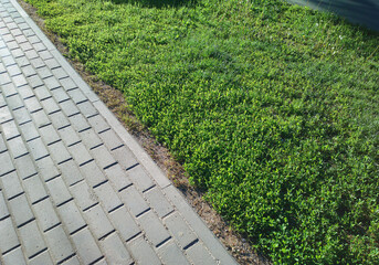 Diagonal grass lawn along side with street pavement backdrop