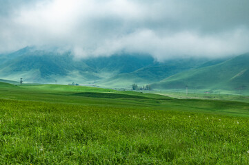 Green valley and fog in the mountains. Spring in Kyrgyzstan. Selective focus.