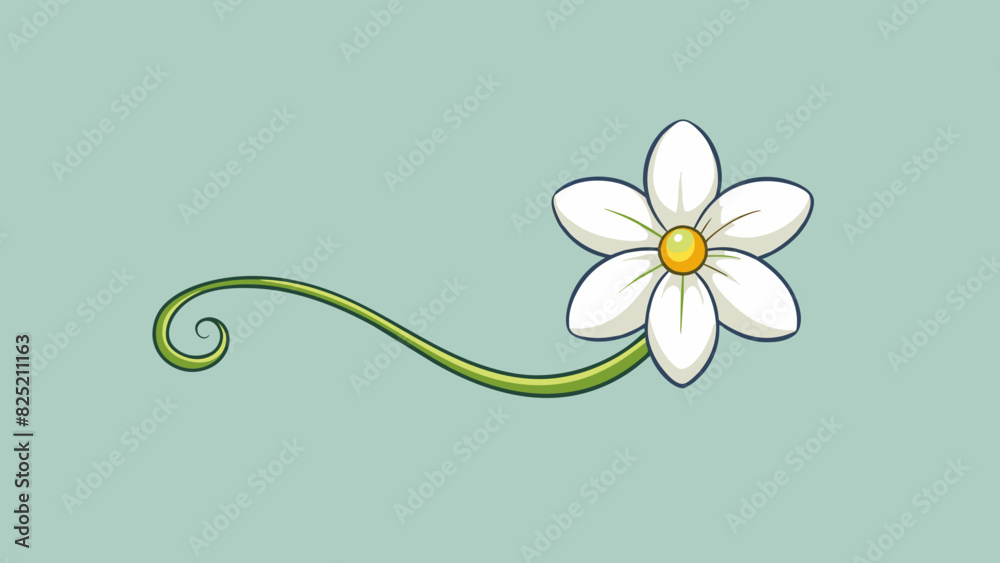 Poster the shall is a delicate white flower with five petals that curl elegantly towards the center. its st