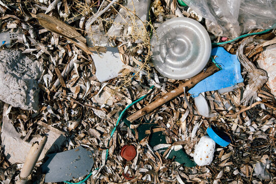Microplastics mixed with dried sea grass