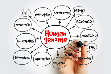 Human genome mind map, medical concept for presentations and reports