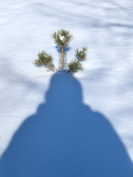 Shadow selfie with tree
