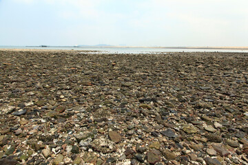 View of the beach in the low tide