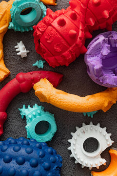 Gnawed Dog Toys