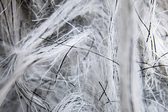 Abstract Black And White Hair Macro Close-up 