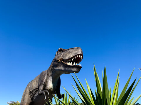 Tyrannosaurus dinosaur, New Zealand.