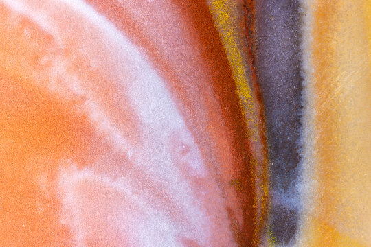 Multicolored Petrified Wood  