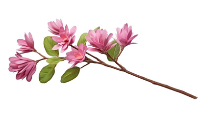 pink flowers branch isolated on transparent background cutout
