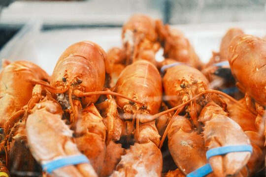 Lobster in Fish Market