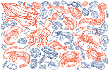 Naklejka premium Isolated vector set of seafood. Shrimps, langoustines, prawns, salmon, trout, oysters, mussels, squid, crab, lemon, octopus, rosemary, sea urchin. Hand-drawn seafood delicacy, restaurant and marine.