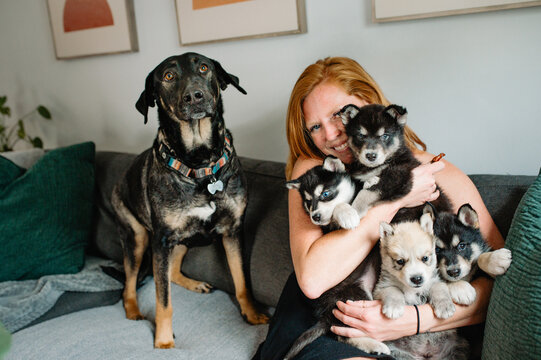 Dog Foster Volunteer