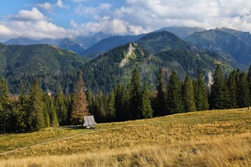 Rusinowa Polana mountain view in Tatry, Poland © Tupungato