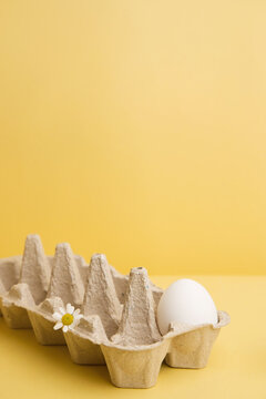 Egg in a  carton for eggs 