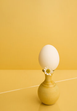 Egg Resting on Yellow Vase