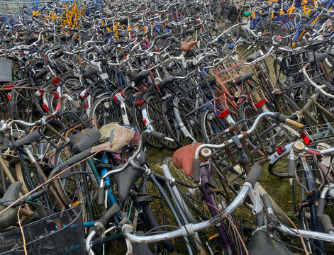 many bicycles
