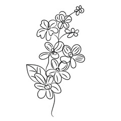 Hand drawn flat design simple flower outline
