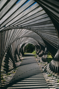 Tunnel in a park