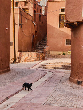 Black Cat Strolling Through Abyaneh's Cobbled Lanes in Iran

