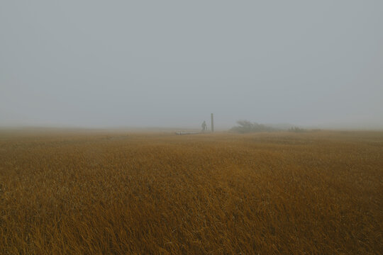 A Solitary Figure in the Mist.