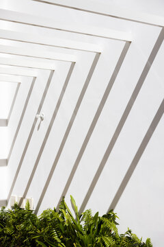 Modern architecture with geometric patterns and greenery