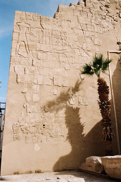 Ancient Egyptian Hieroglyphs on Temple Wall in Daylight