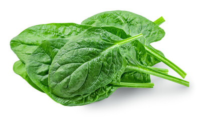Spinach leaves isolated on white background. Various Spinach Macro. Package design elements Flat lay. Top view..