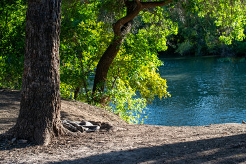 blanket under tree by river