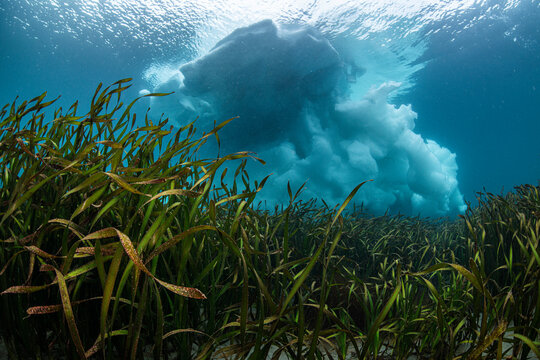 Drift ice, underwater view