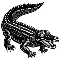 crocodile-white-background