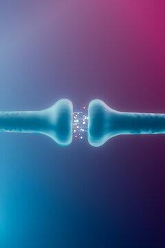 Synaptic Signal Exchange