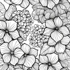 black and white colouring book page for adults, thick outlines, Hydrangea
