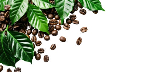 Fresh Brown Roasted Coffee Bean with Green Leaves Isolated on Transparent Background PNG with Cut Out Copy Space for Food Design.