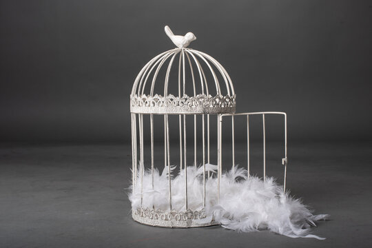 Jaula decorativa aislada sobre fondo gris y plumas