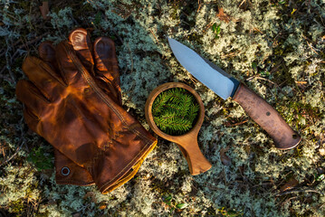 Brown leather gloves, knife and kuksa on moss in the forest. Tools for survival in the wild. All...