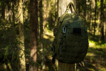 Tactical backpack on tree trunk in forest .
