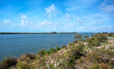 Views of the Ebro river in the Ebro delta
