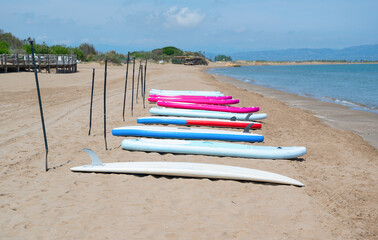 Surf paddle boards prepared for nautical activities