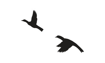 Flying Birds Vector And Illustration. 