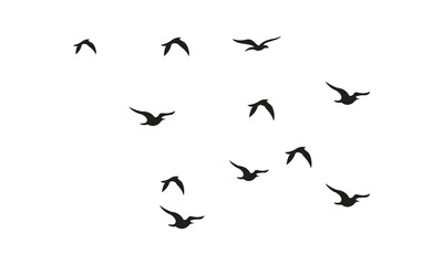 Flying Birds Vector And Illustration. 