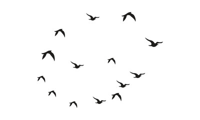 Flying Birds Vector And Illustration. 