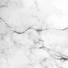 Obraz premium Elegant White Marble Texture Background