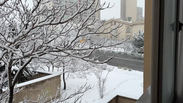 Snow covered tree in winter tehran city landscape heavy snowfall in middle east asia arabic culture local people life in downtown iran landscape of house street view in cold weather urban life