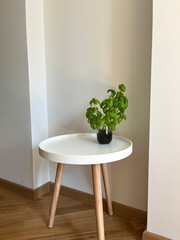 Minimal room corner background mockup for product presentation or branding with cozy soft sunlight, wood circle table, white concrete wall,  plant. Studio photo